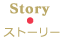 Story ストーリー